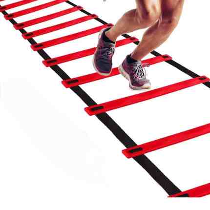 Training Ladder
