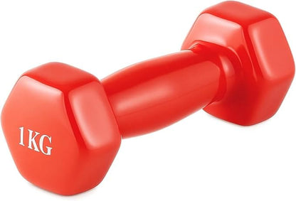 dumbbell vinyl 1 kg