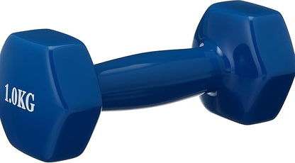 dumbbell vinyl 1 kg