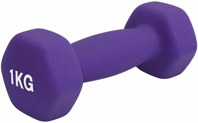 dumbbell vinyl 1 kg