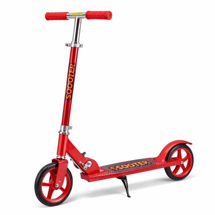 2-Wheel Scooter