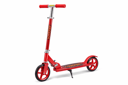 2-Wheel Scooter