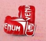Venum Boxing Gloves