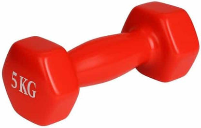 dumbbell vinyl 5 kg