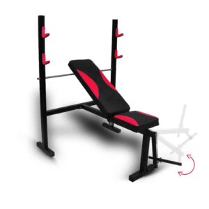 Bench with Bar Holder