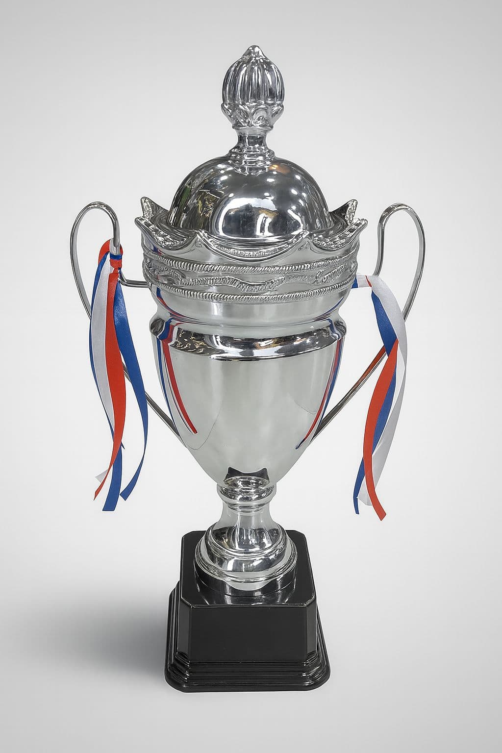 Silver Trophy 51 Cm