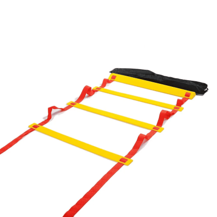 Ground training ladder