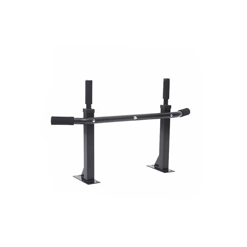 Wall _mounted pull _up bar