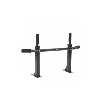 Wall _mounted pull _up bar