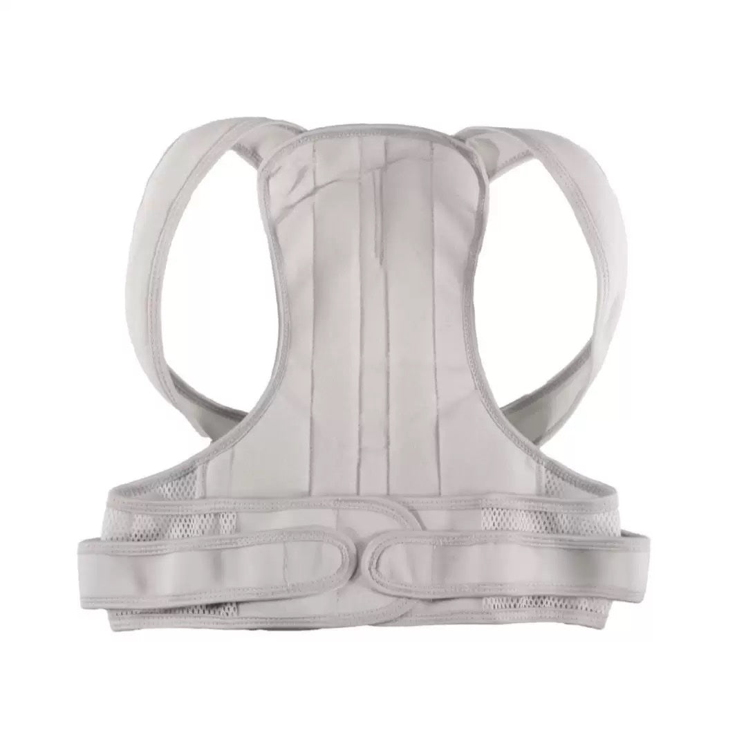 Back Support Brace