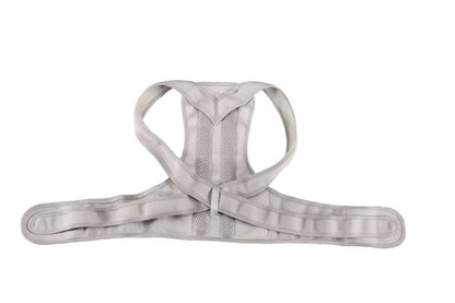 Back Support Brace