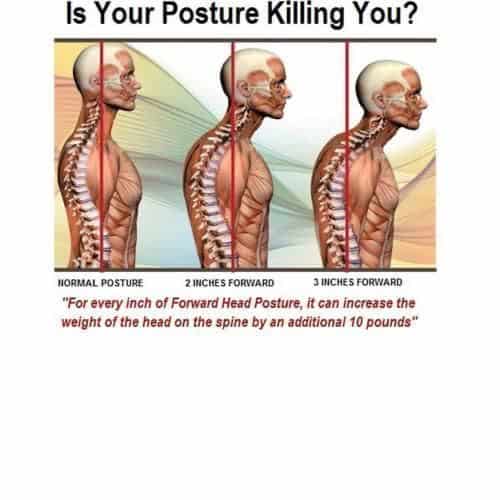 Back Support Brace